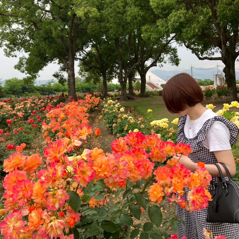 あゆみ