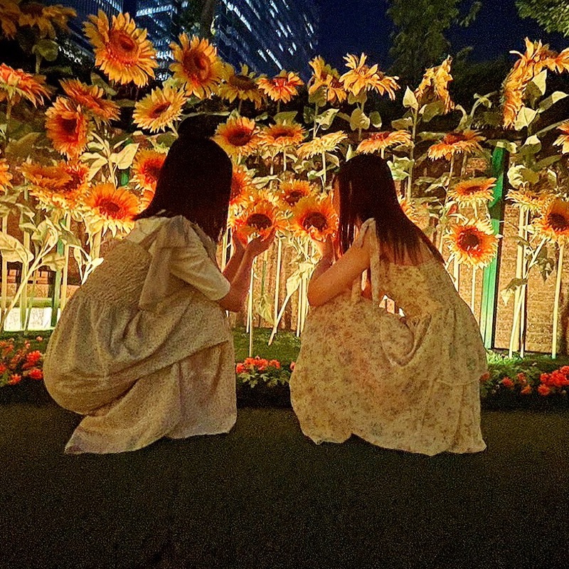 秋田 陽菜