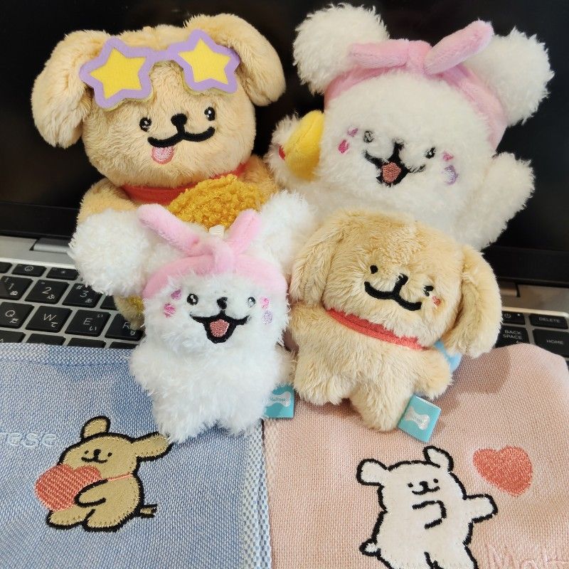 ひよ