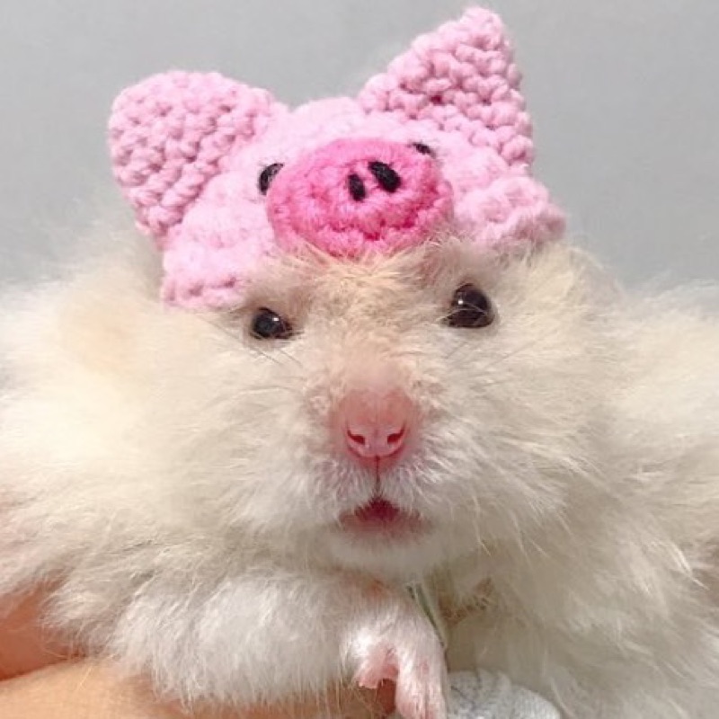 たこやき◎