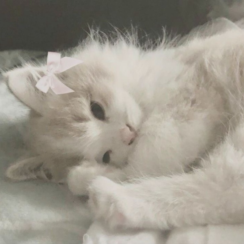ゆな