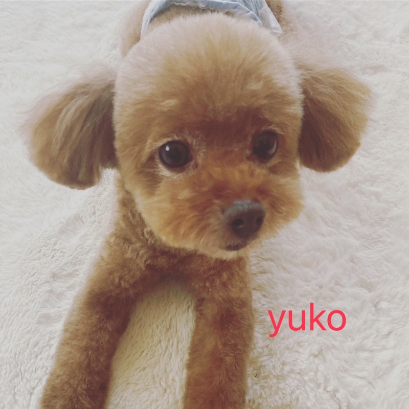 裕子