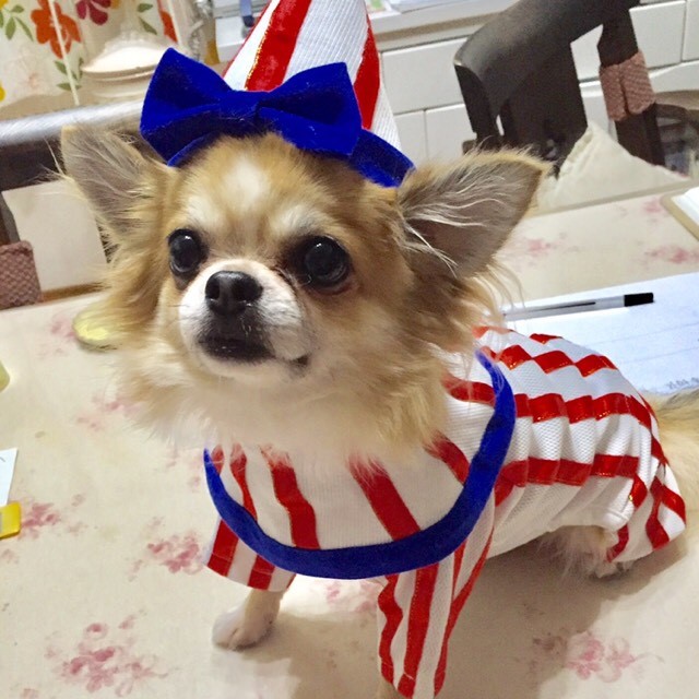 加藤純子