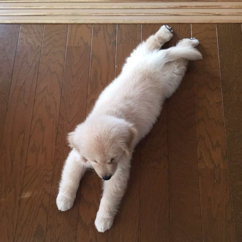 山内温子