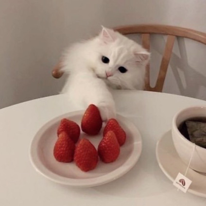 青柳　敬子