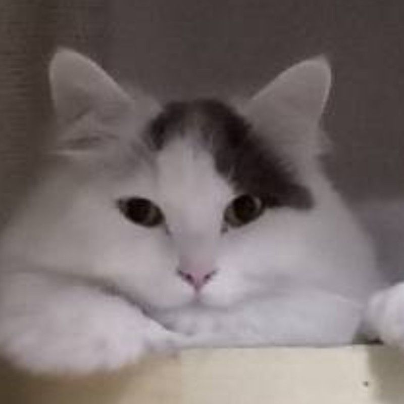 室町 恭子