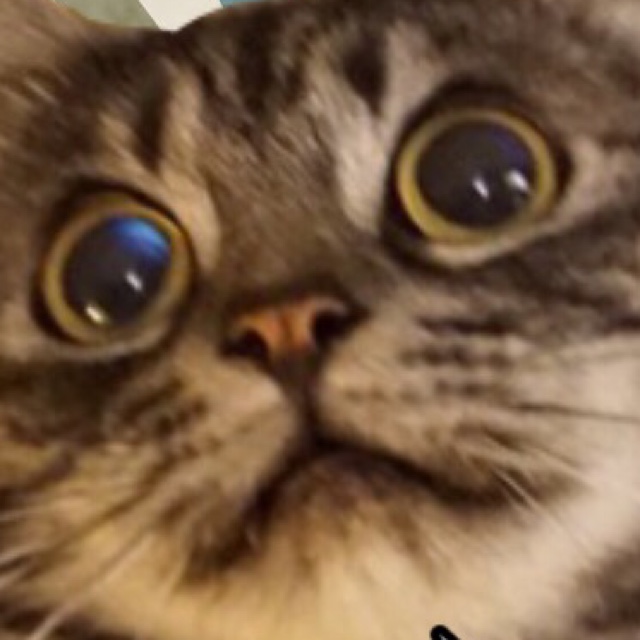 一柳敦子