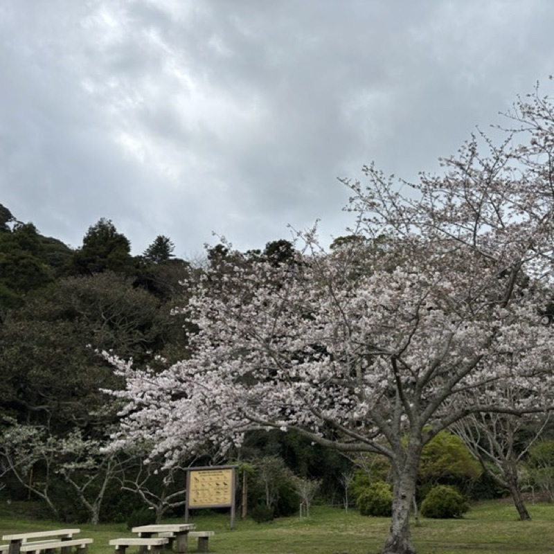 香月　信子