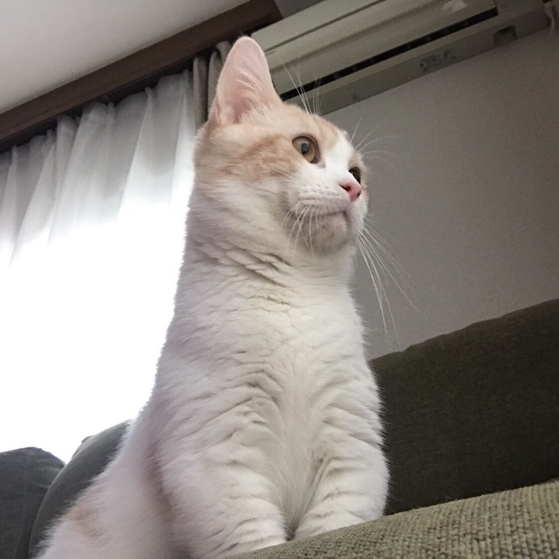 まる