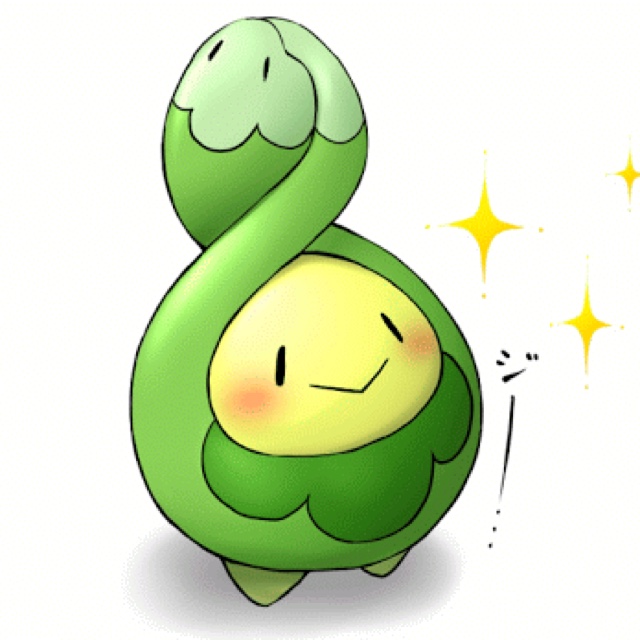 ミヤ