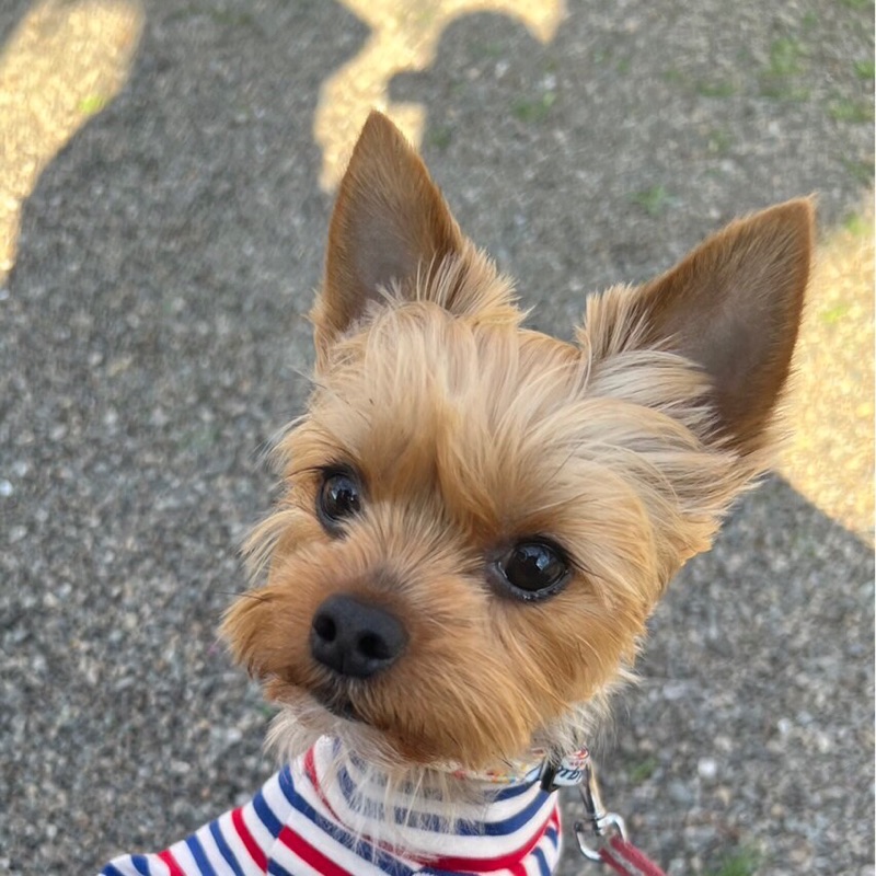 栗田　