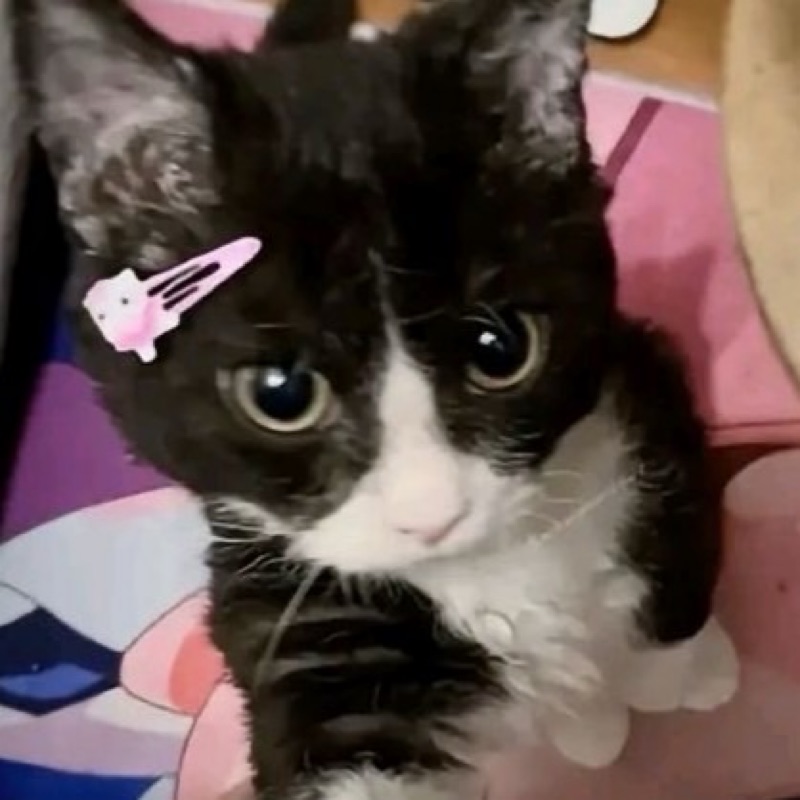 じゅな
