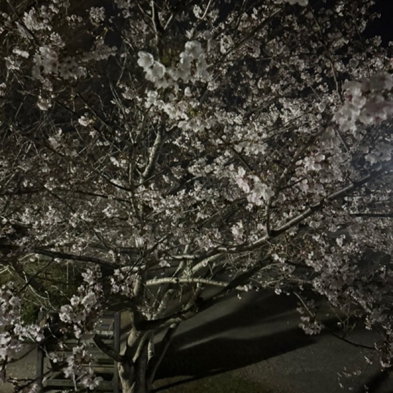 はるく
