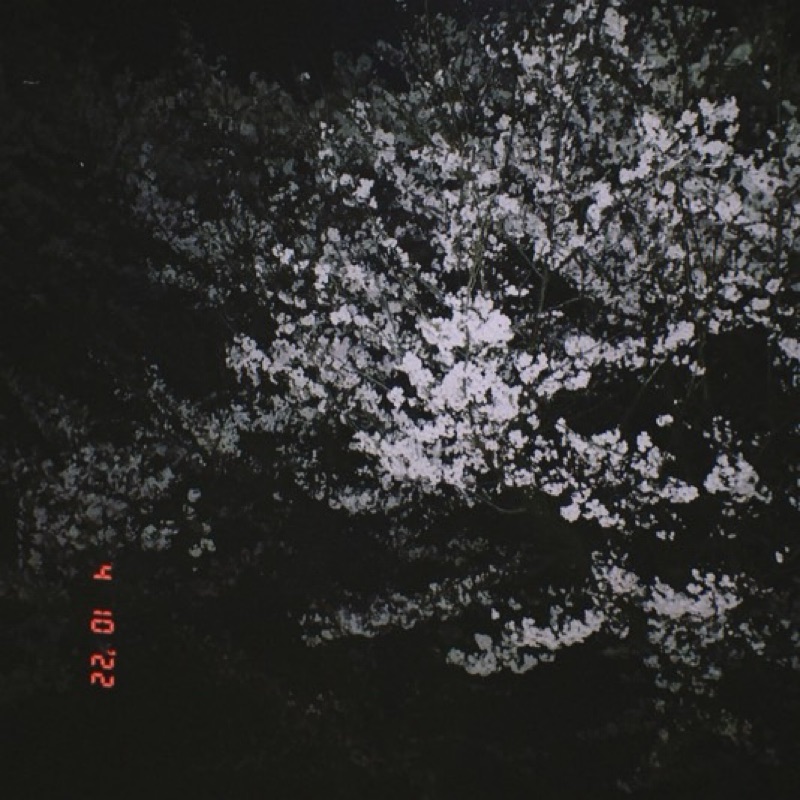 金持大季