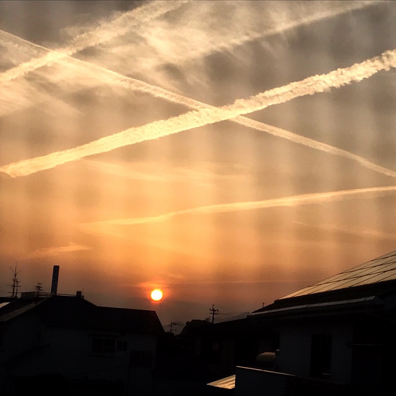 田中　文
