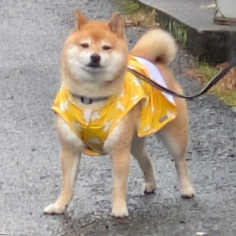 栢野　航汰
