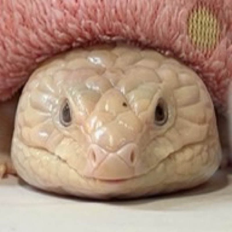 大城 恵理子