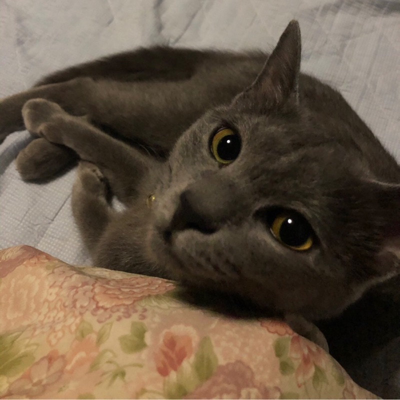 ヒロ