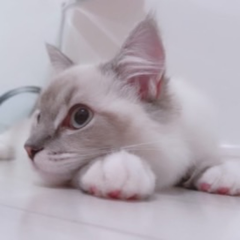 のん