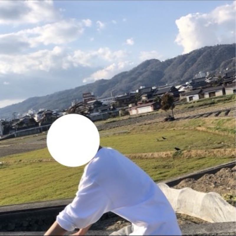 せいや