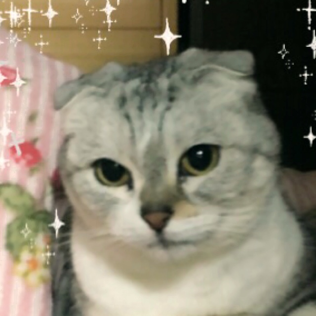 ruru