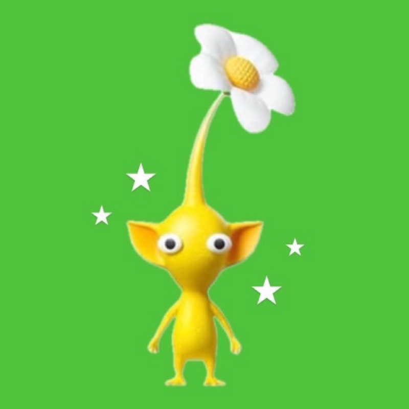 高野新