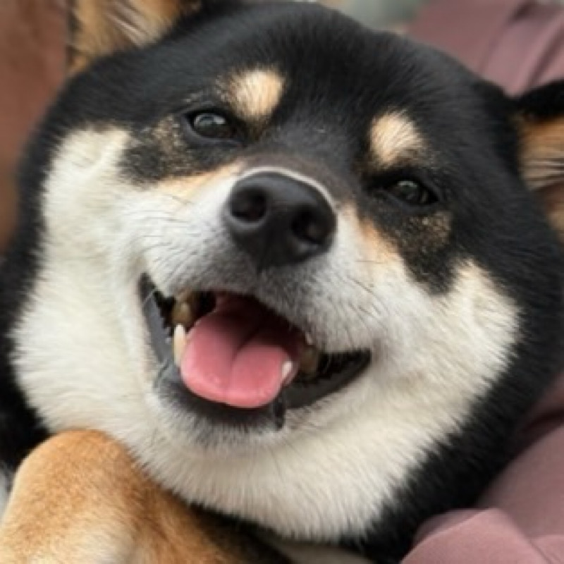 あきやま