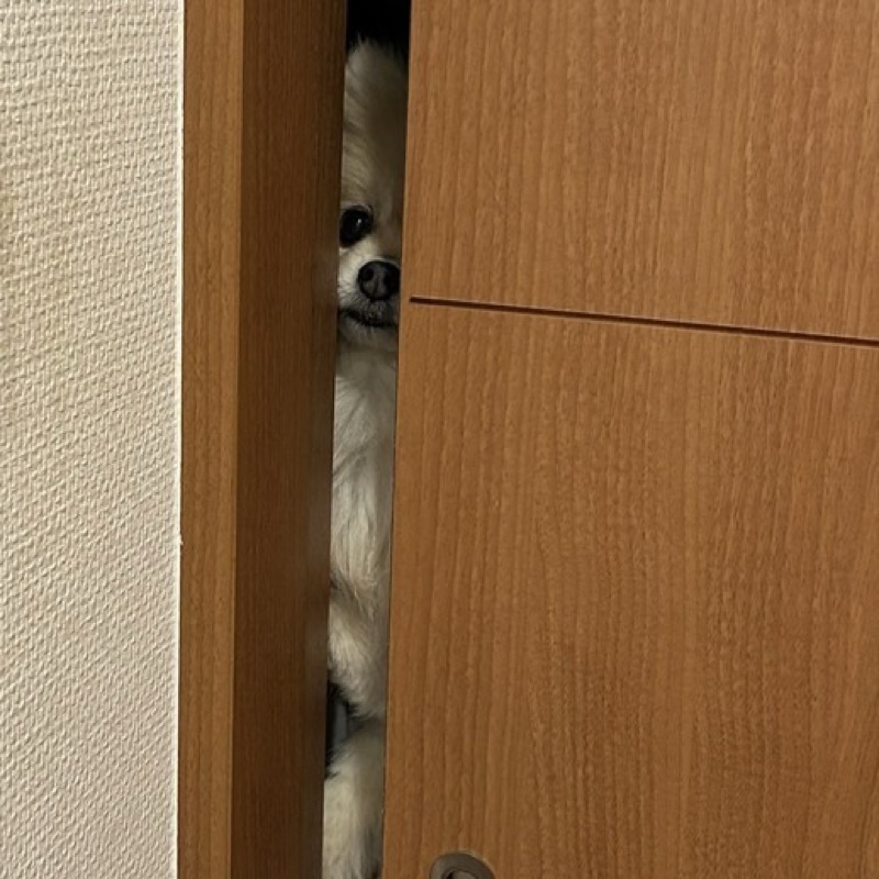 けん