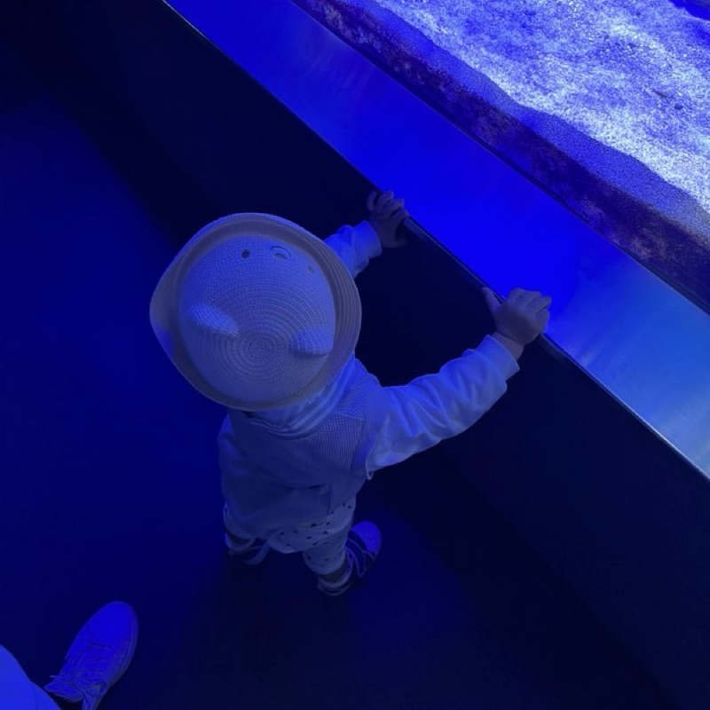 森本起隆