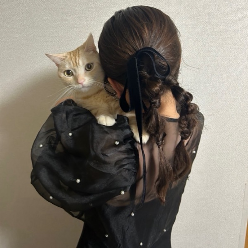 Sachi