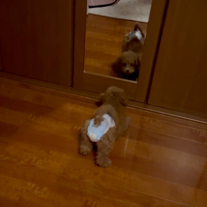 ゆか