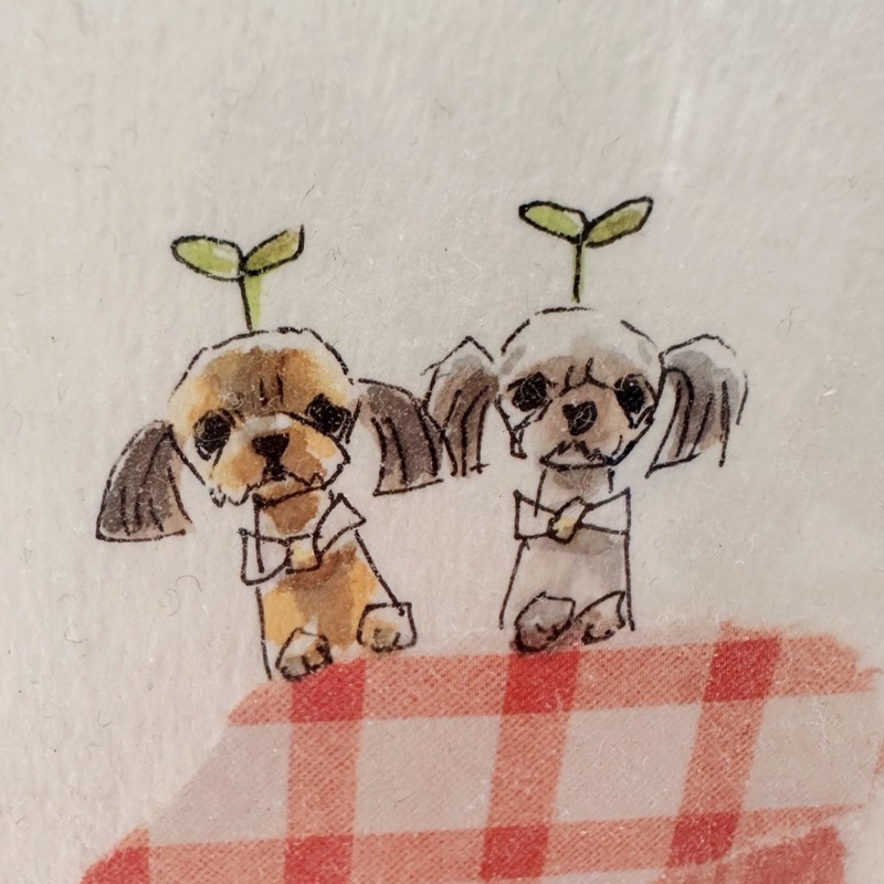 まき