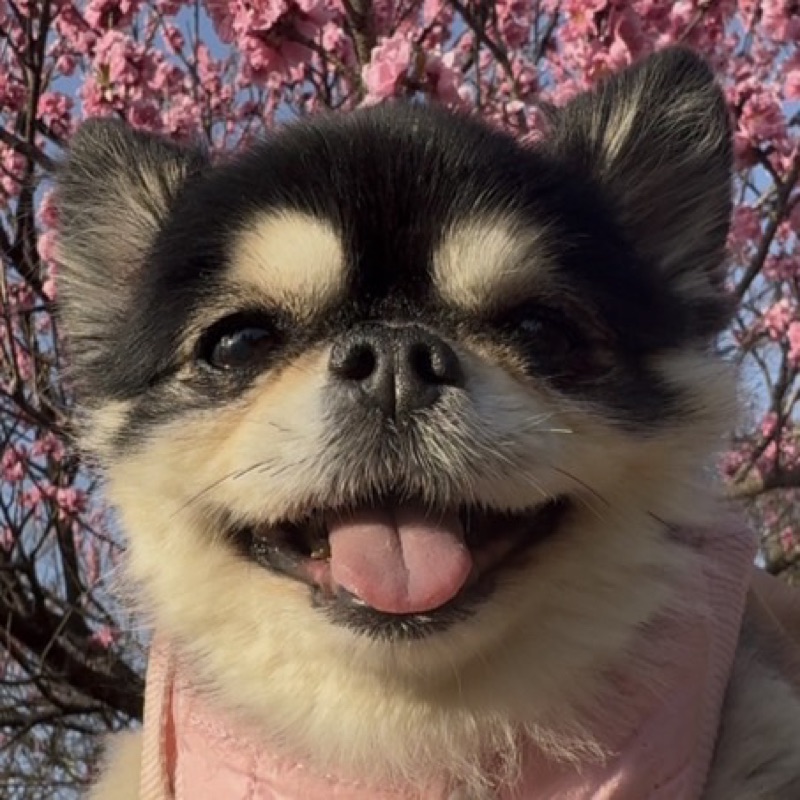 大塚