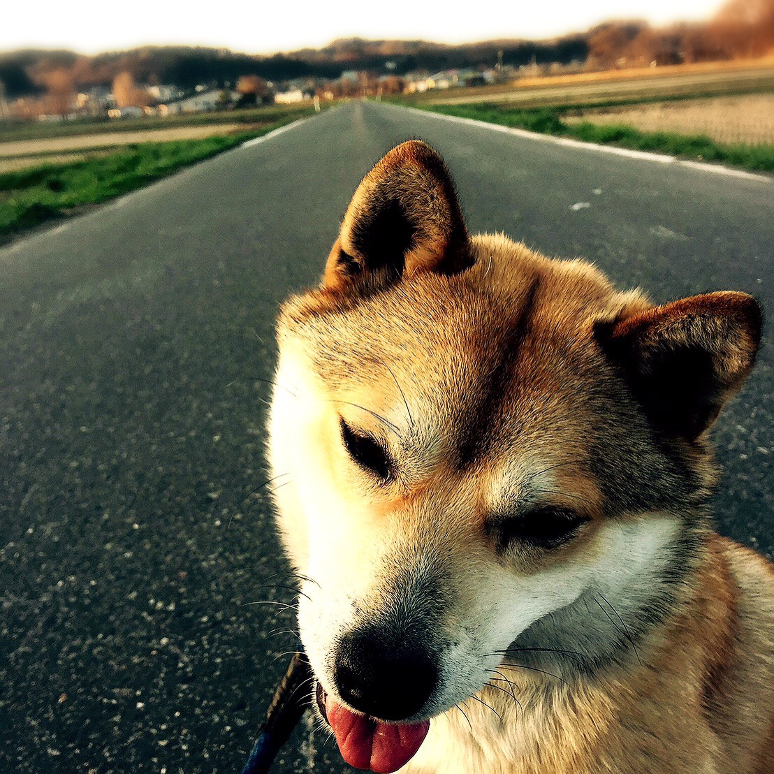 じゅん