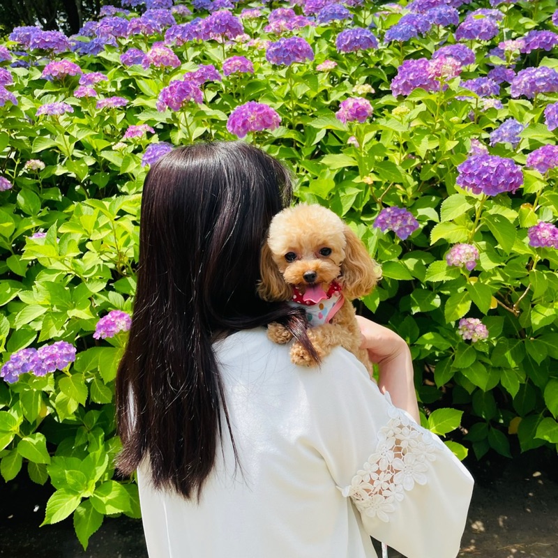 太田ひろみ