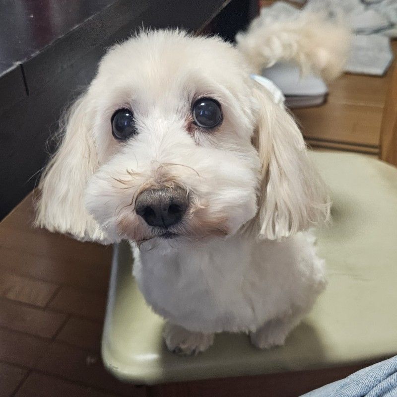 あーちゃん