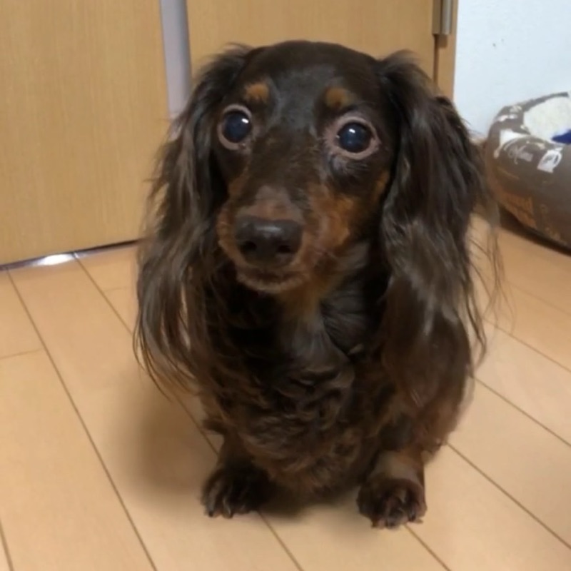 ココルイ