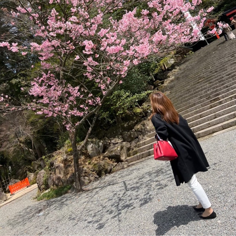 okinawa🌺