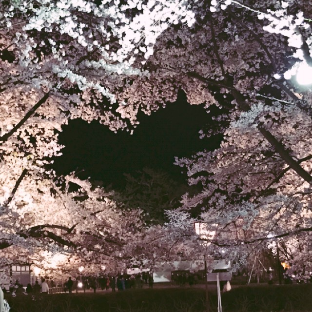 工藤冨貴