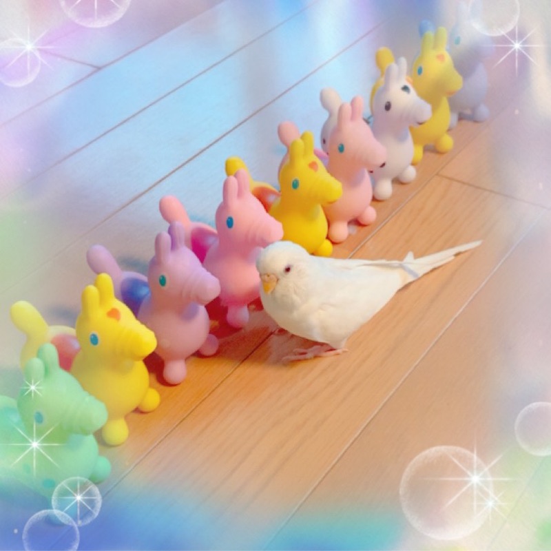 みずの☺︎