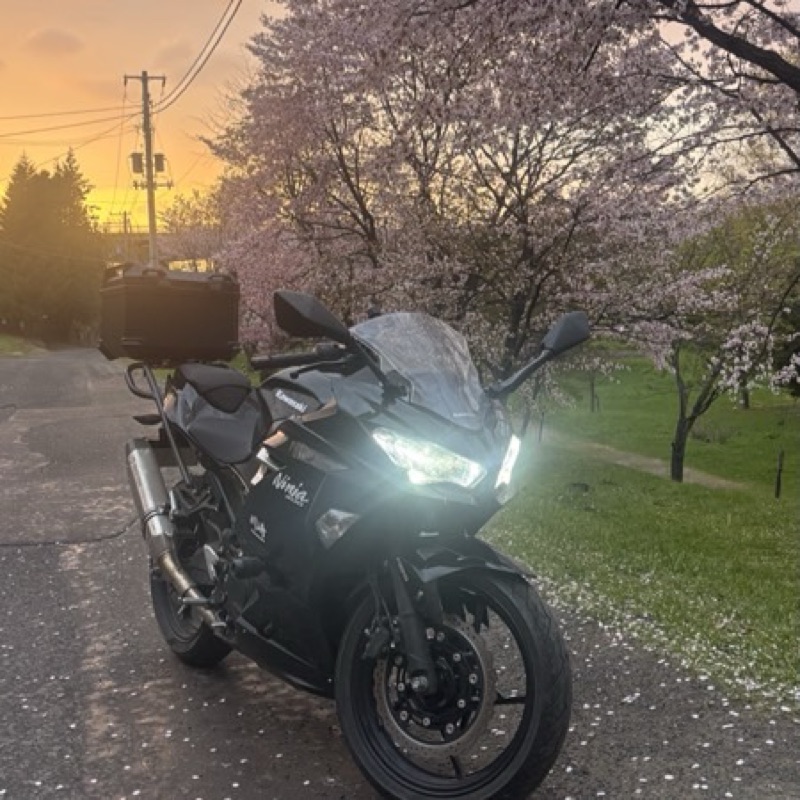 86