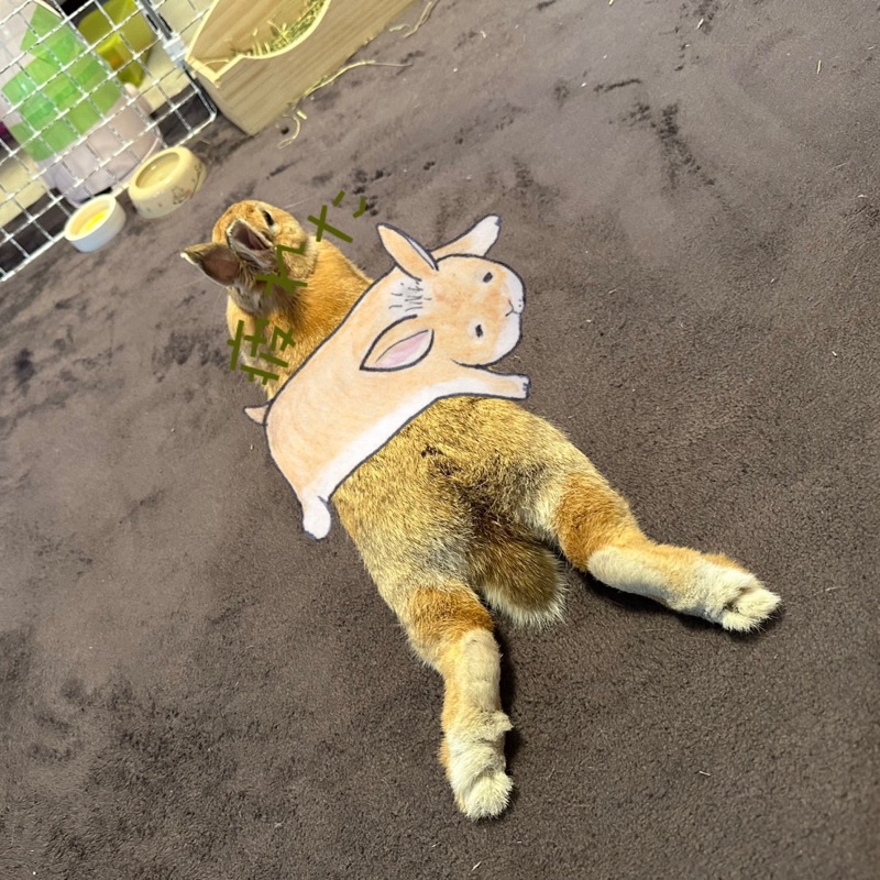 釡田嵩生