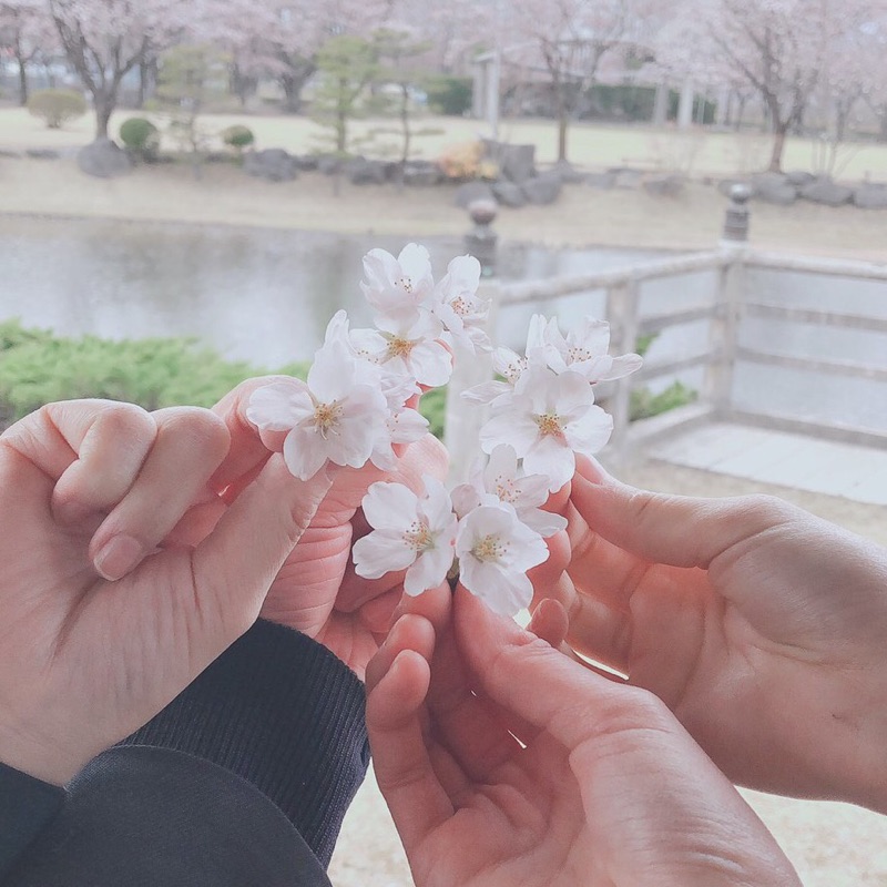 内山陽菜