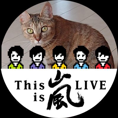 堀江 美友樹