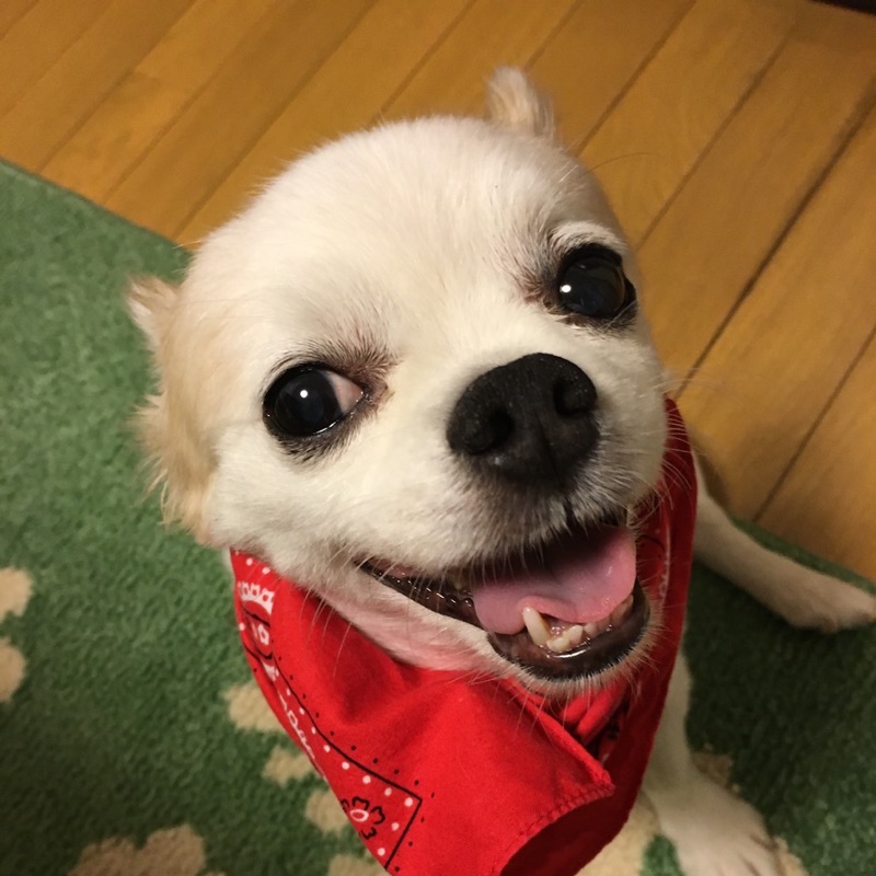わか子