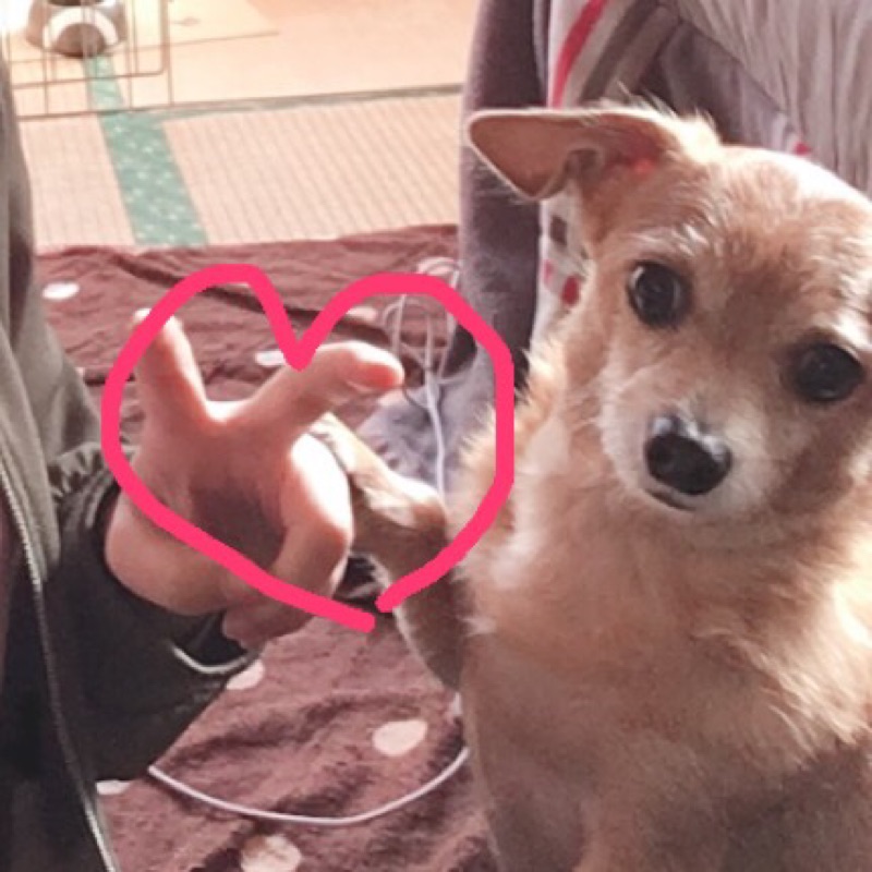 佐藤はるか