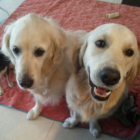 M H