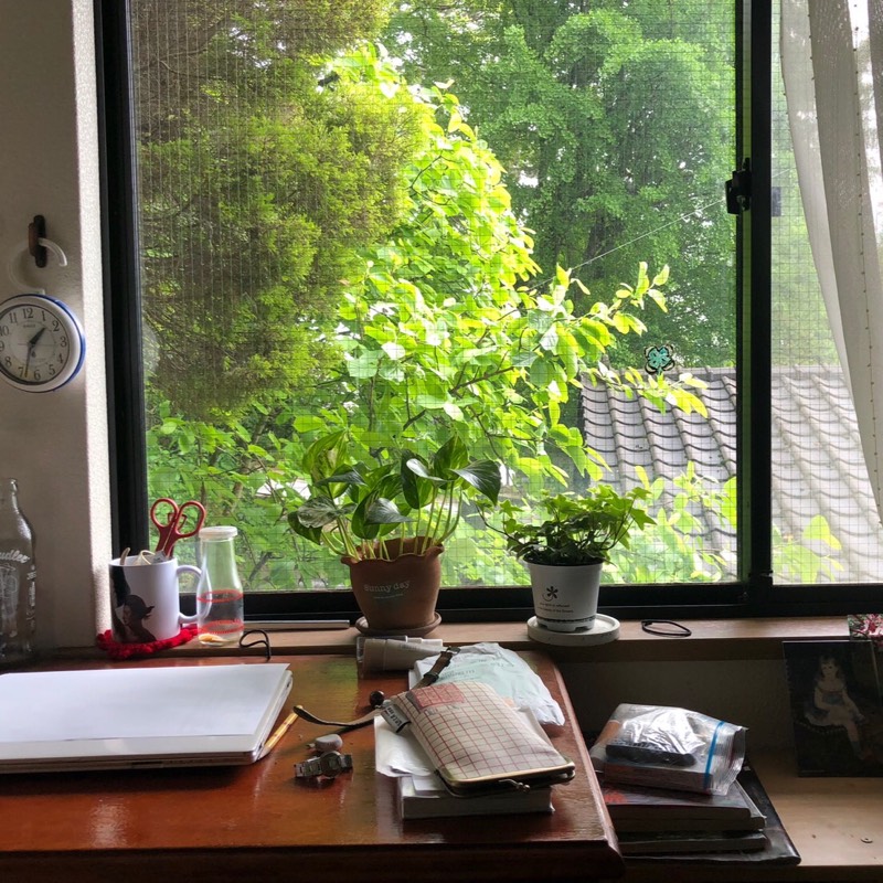 o(^▽^)o