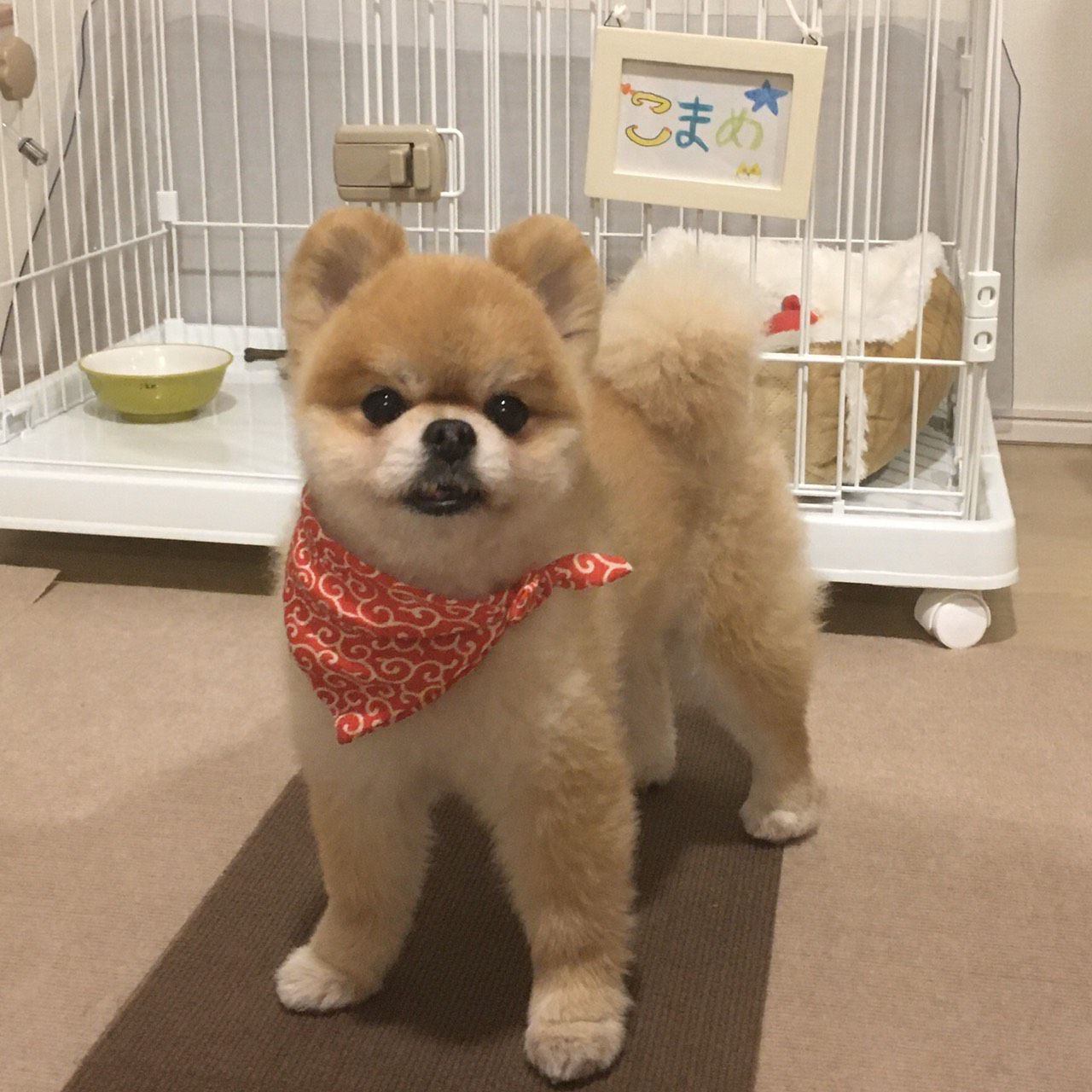 岡　真太郎