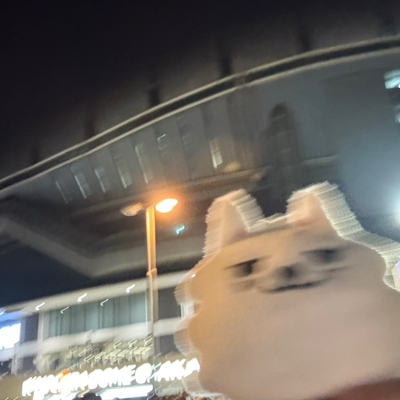 野崎真実